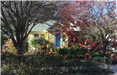 October Yard of the Month, 4545 12th Avenue