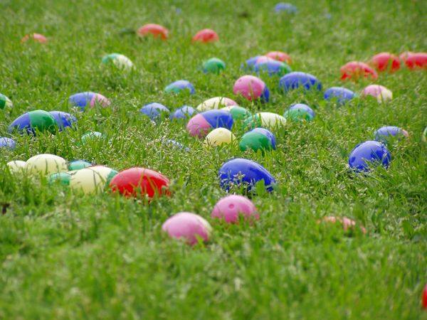 egg hunt