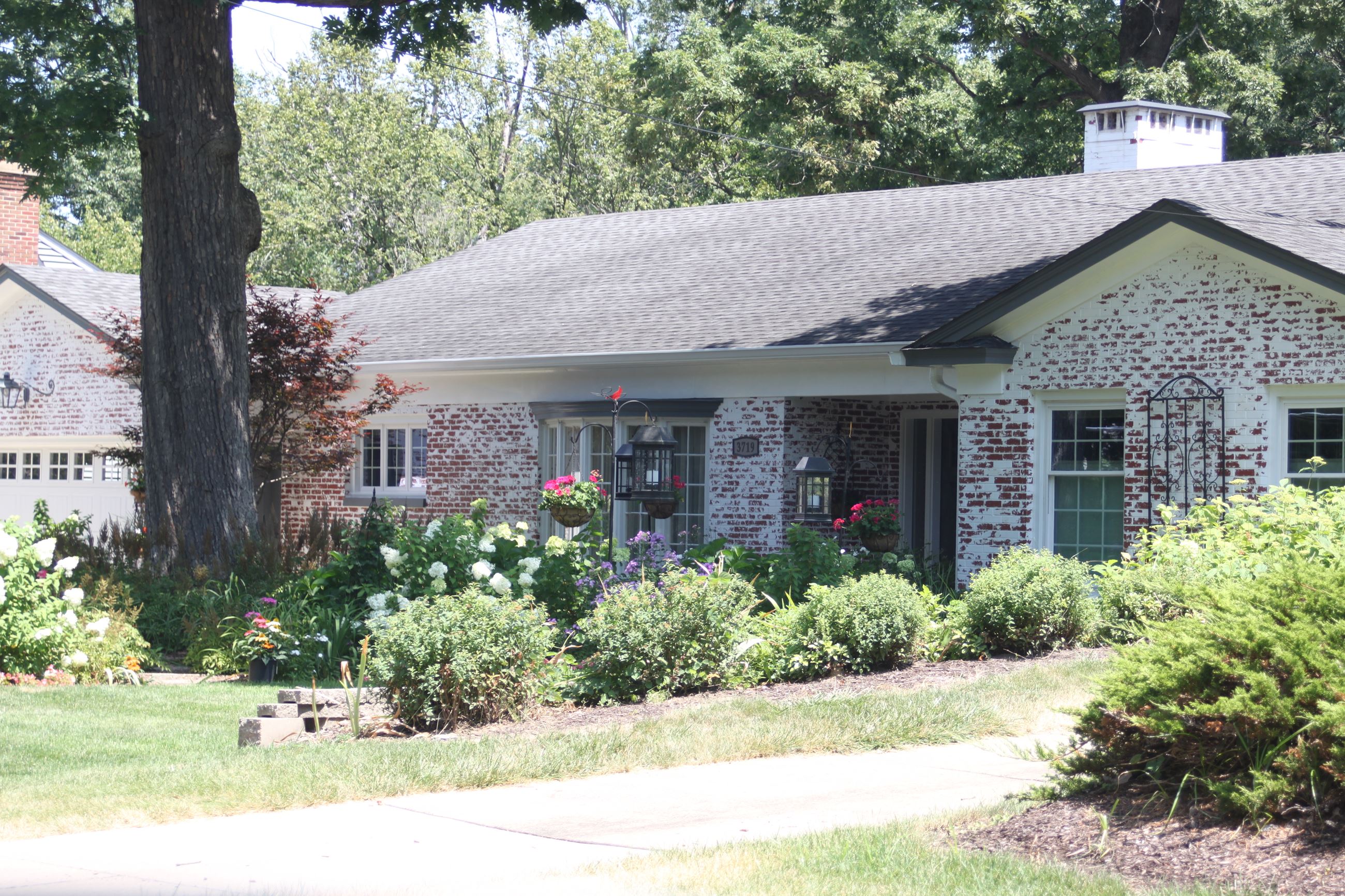 July Yard of the Month, 3719 14th Street