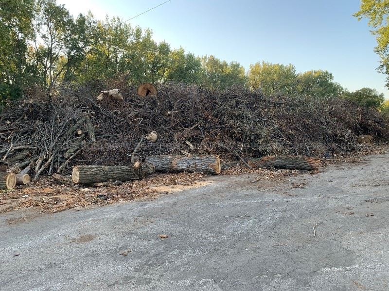 Windstorm Cleanup Picture 2020