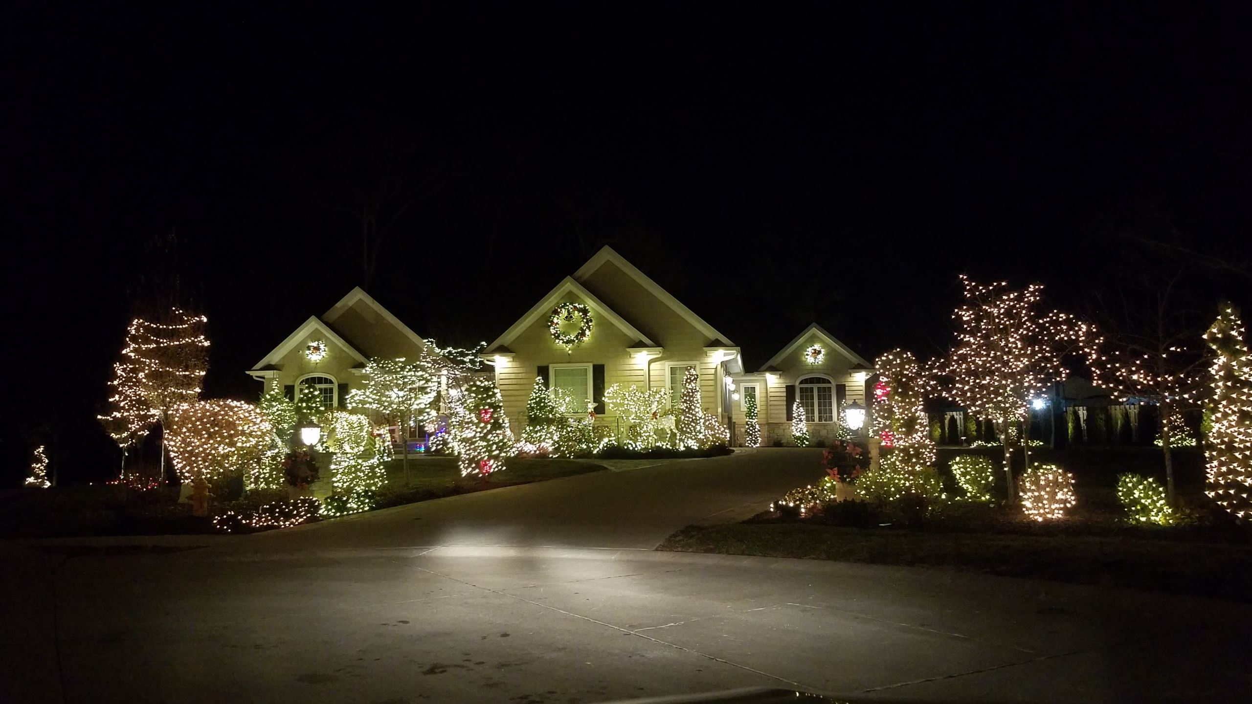 2020 Holiday Lights Winner