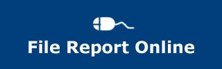 Police-DORS-File-Report-Online