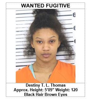 Wanted Fugitive Destiny T. L. Thomas 