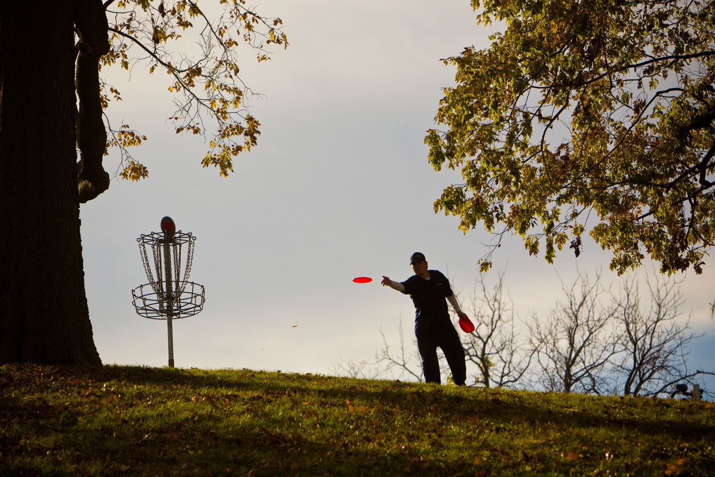 Park goer playing disc golf