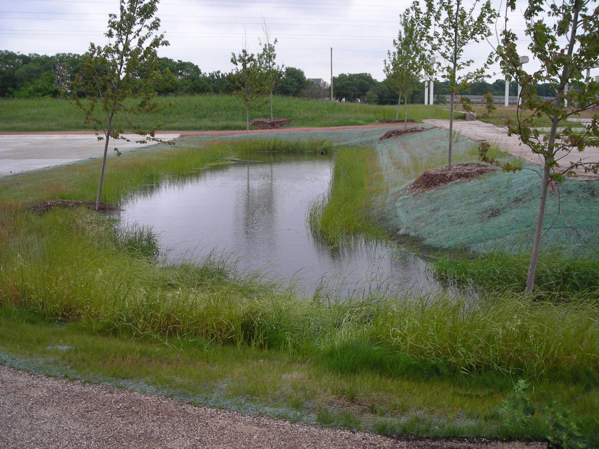 Water runoff and grass at Sylvan Slough Naturalized Park